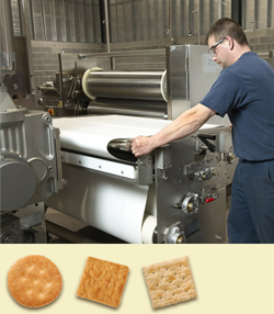 Съемные транспортеры | Reading Bakery Systems (США)